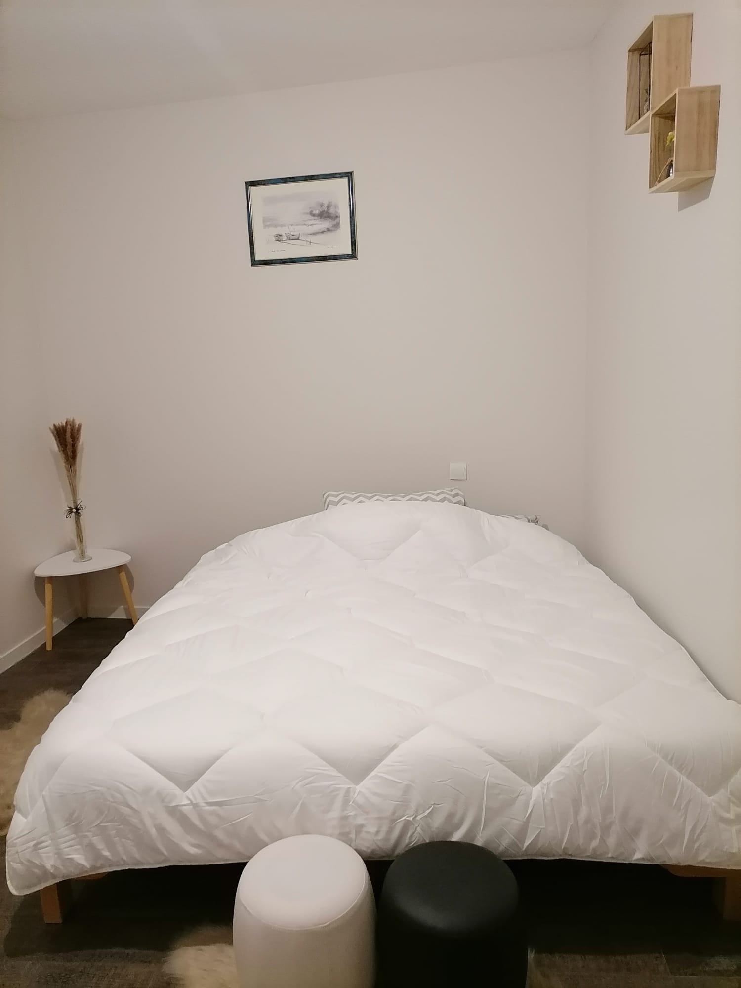 Le cocoon